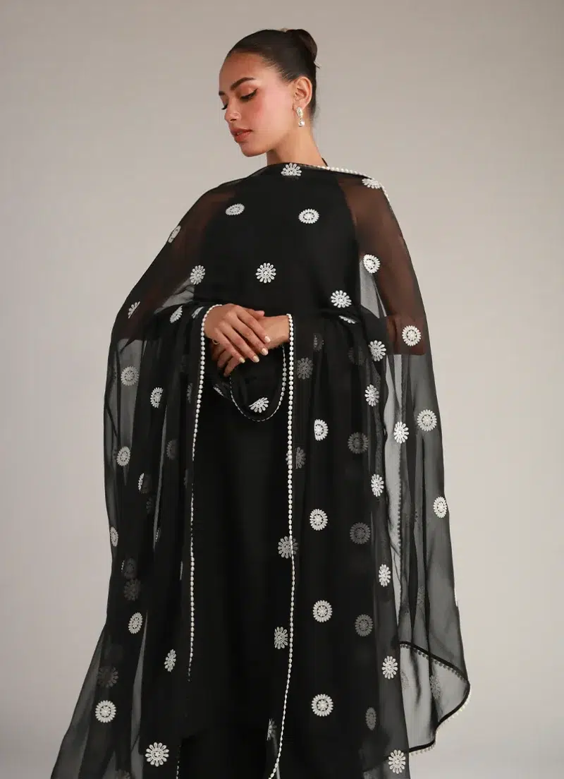 Image | Spring Pret '24 | Embroidered Dupatta | Chiffon | Black | 1 pc | IDCH-213075.