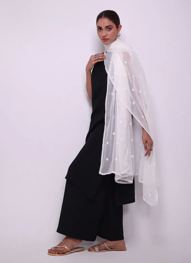 Image | Spring Pret '24 | Embroidered Lace Dupatta | Chiffon | White | 1 pc | IDCH-213327.