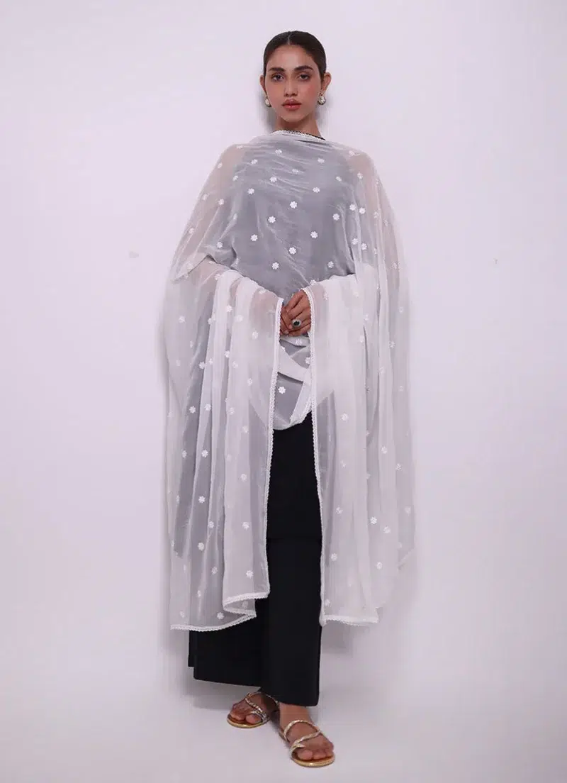 Image | Spring Pret '24 | Embroidered Lace Dupatta | Chiffon | White | 1 pc | IDCH-213327.